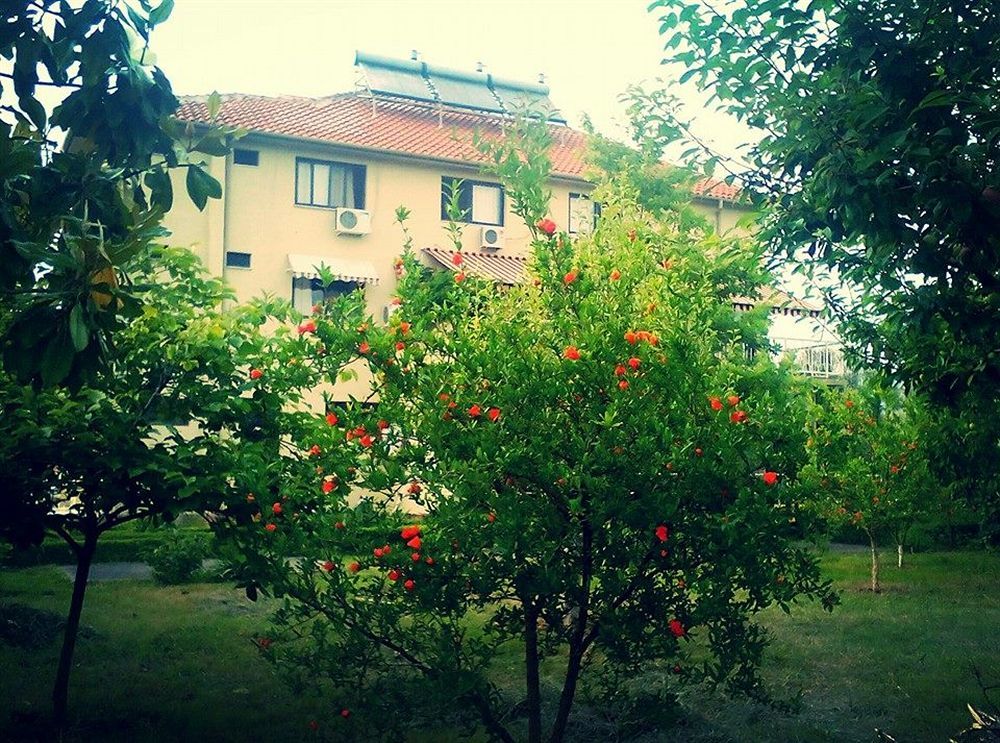 Hotel Viktoria Tirana Mjull-Bethore 외부 사진
